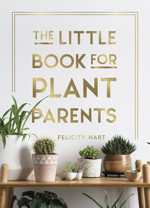 Books, Games + Puzzles at Hive Provisions - The Little Book for Plant Parents