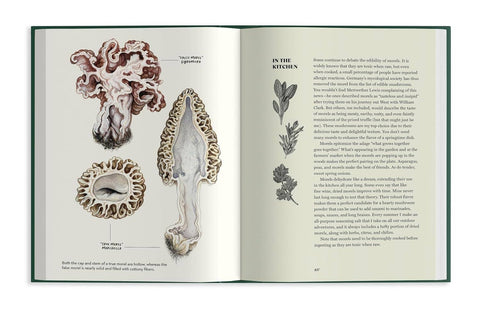 Pacific Northwest Mushroom Foraging Book