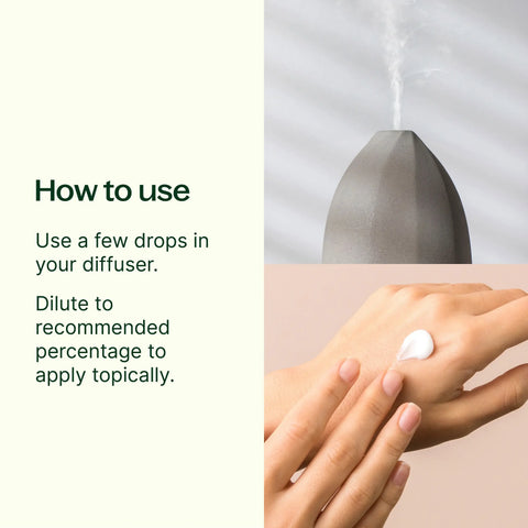 7 and 7 Essential Oil Set