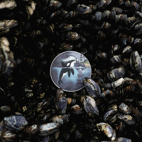 Orca Sticker