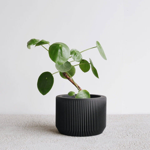 Praha Indoor Planter with Tray - image 5