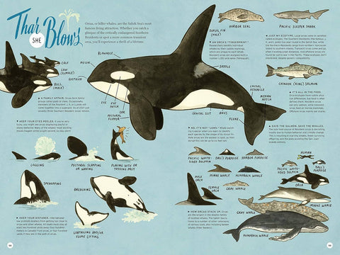 On Island Time: Illustrated Adventures Around Washington