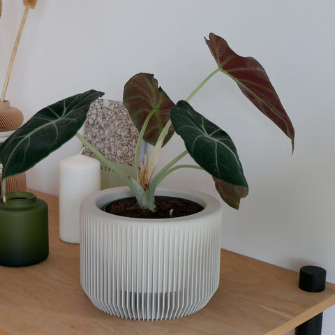 Praha Indoor Planter with Tray - image 8