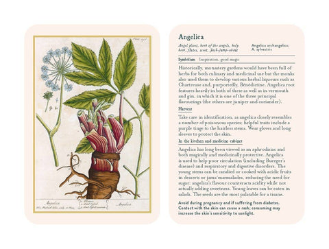 Healing Plants - image 4
