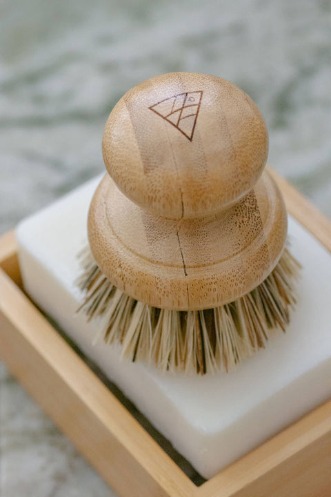 CASA AGAVE Pot Scrubber Brush - No Tox Life