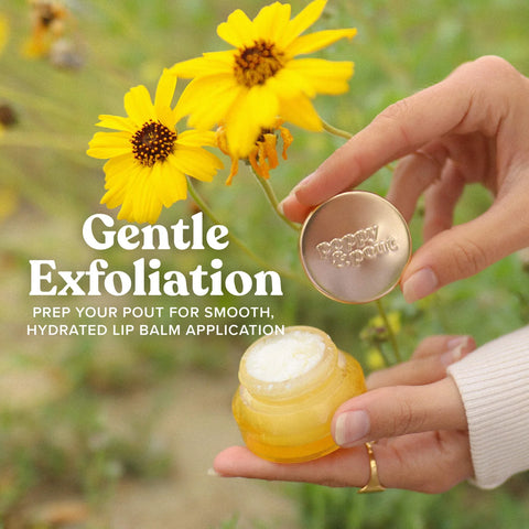 Lip Scrub - Wild Honey - image 7