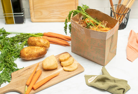 Scrap Sack Compostable Food Waste Bag - 10 Count