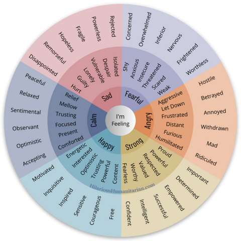 Wheel Of Emotions Magnet