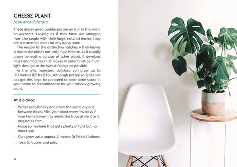 The Little Book for Plant Parents - image 3