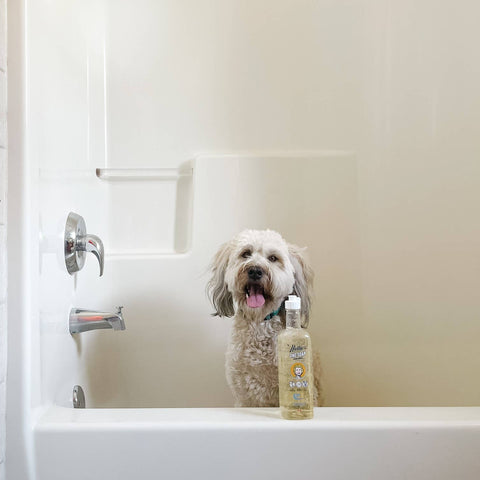 One Soap Fragrance Free (Dish, Hand, Pet Soap)