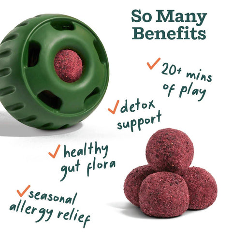 Allergy & Immunity Wellness Pops - image 3