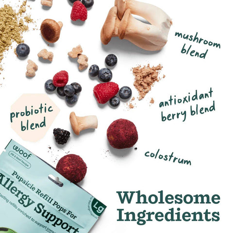 Allergy & Immunity Wellness Pops - image 4