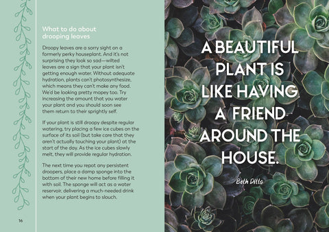 The Little Book for Plant Parents - image 4