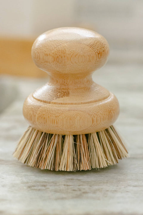 CASA AGAVE Pot Scrubber Brush - No Tox Life - image 4