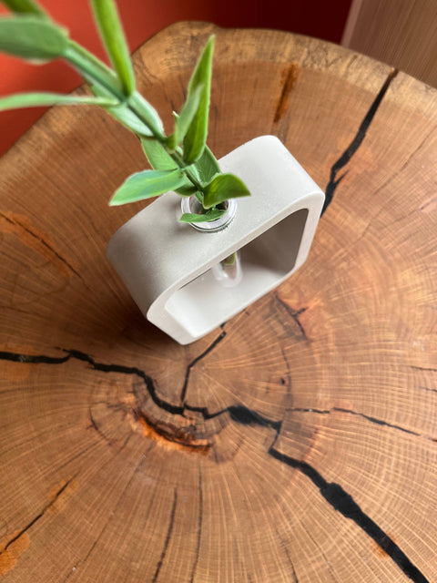 Modern Rectangular Concrete Propagation Planter - image 3