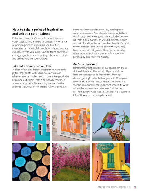 Rainbow Home - image 4