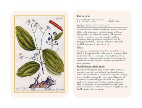 Healing Plants - image 2