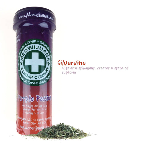 Purrple Passion - Silvervine and catnip Blend - image 3