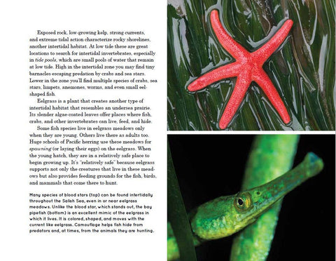 Explore the Salish Sea: A Nature Guide for Kids