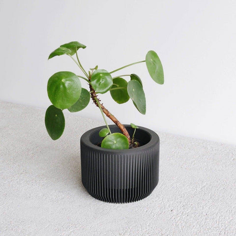 Praha Indoor Planter with Tray - image 7