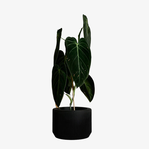 Praha Indoor Planter with Tray - image 3