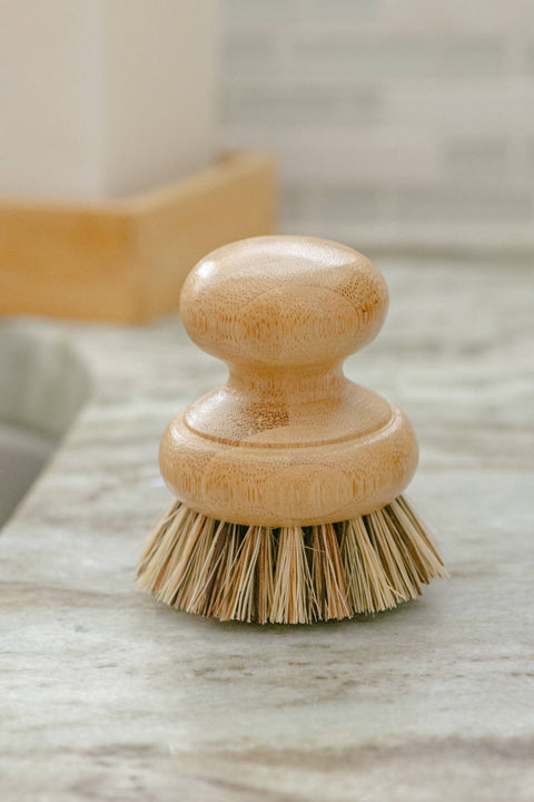 CASA AGAVE Pot Scrubber Brush - No Tox Life - image 3