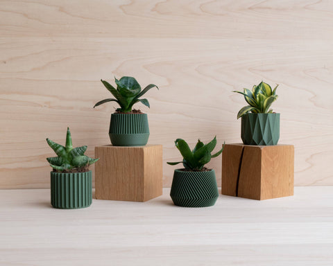 Small Green Plant Pot - image 4