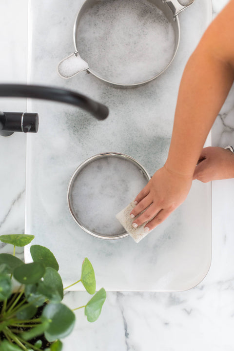 Coconut Husk Scrubber Sponge (2pk)