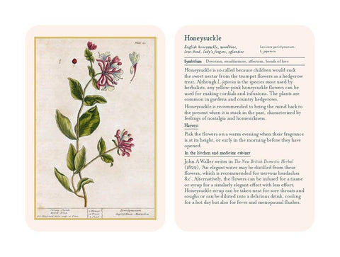 Healing Plants - image 5
