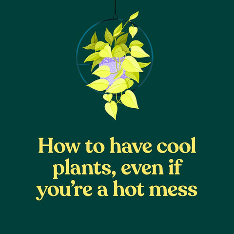 The Green Dumb Guide to Houseplants