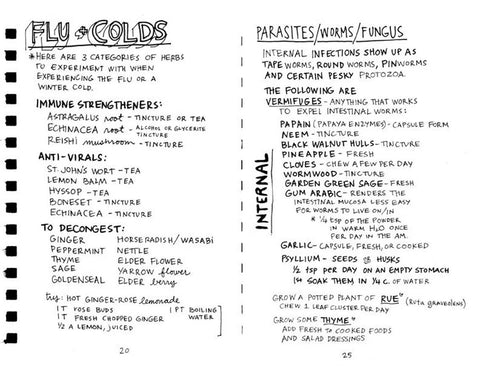 Healing Your Magical Body with Plants & Minerals (Zine)