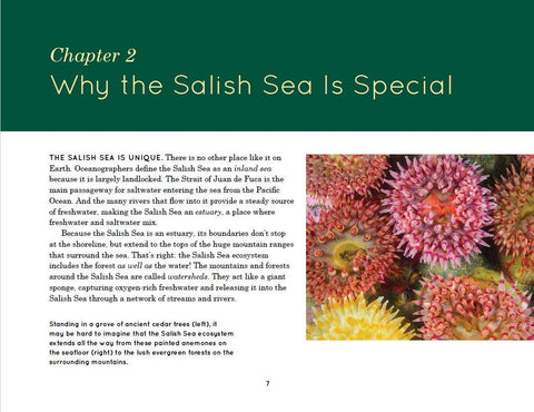 Explore the Salish Sea: A Nature Guide for Kids
