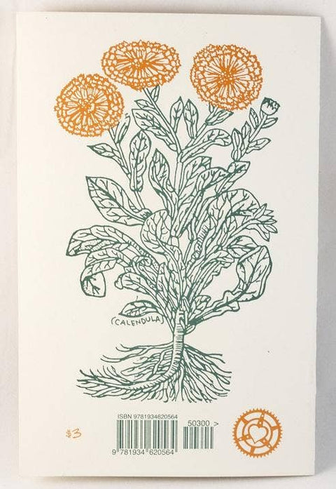 Herbal First Aid: Assembling a Natural First Aid Kit (Zine) - image 5