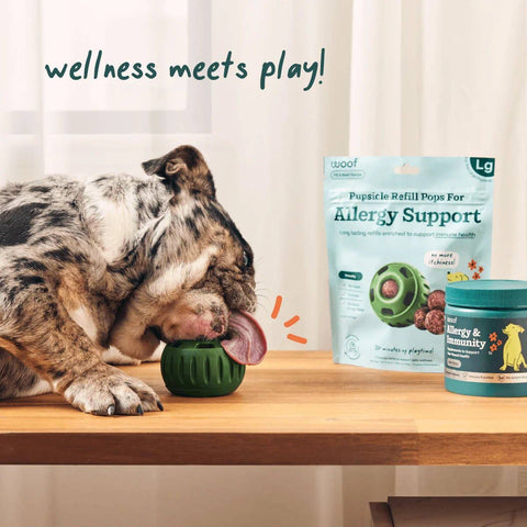 Allergy & Immunity Wellness Pops - image 5