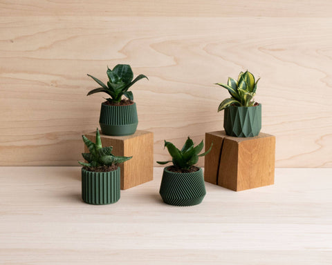 Small Green Plant Pot - image 3