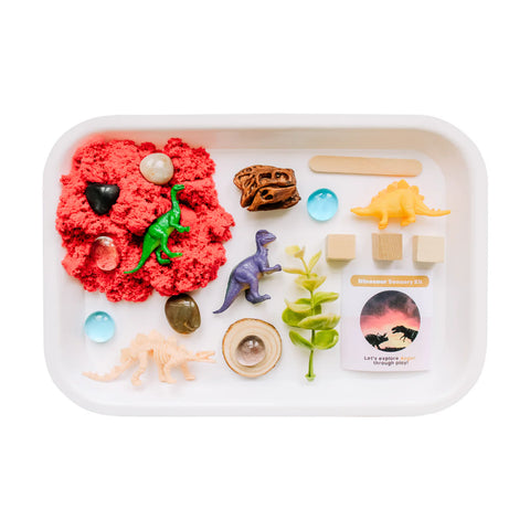 Children's Dinosaur Sensory Kit - image 2