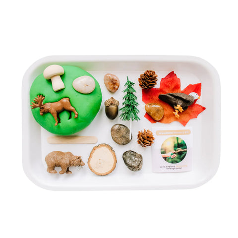 Children's Woodland Sensory Sand Kit - image 3
