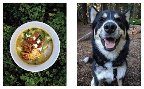 Great Outdoors Cookbook: Over 100 Recipes for the Trail - image 2