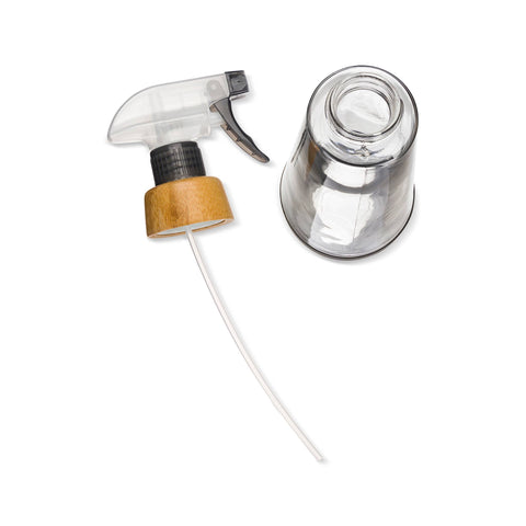 Glass Spray Bottle