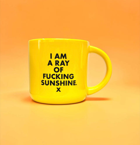 I Am a Ray of Fucking Sunshine Mug