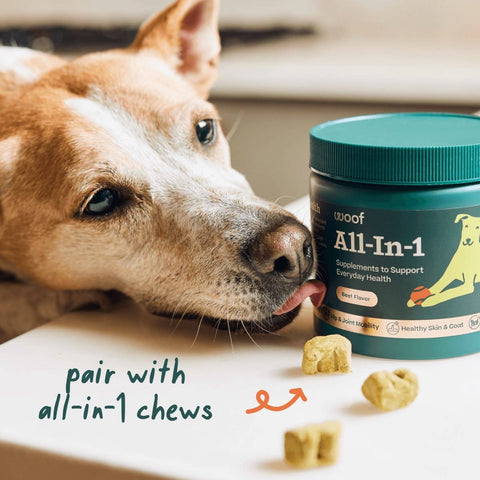 All-in-1 Wellness Pops - image 5