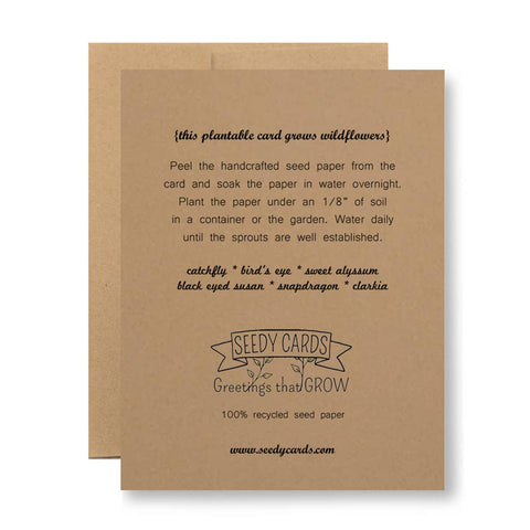 Birthday Card - Blow Me - Seed Paper Card - image 4