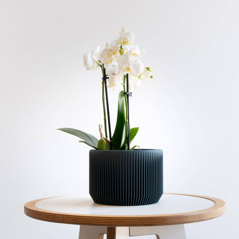 Praha Indoor Planter with Tray - image 2