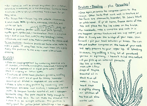 Herbal First Aid: Assembling a Natural First Aid Kit (Zine) - image 4