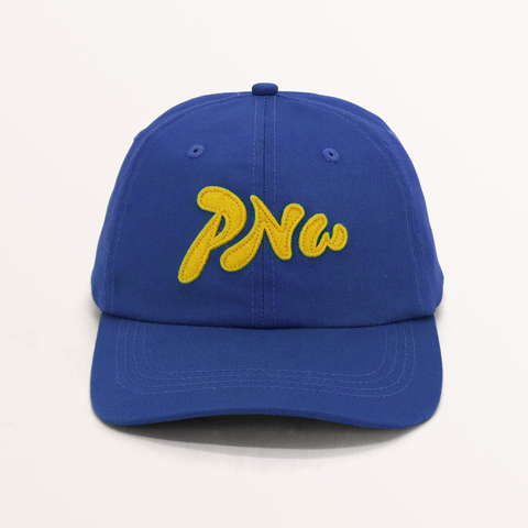 PNW Dad hat - image 2