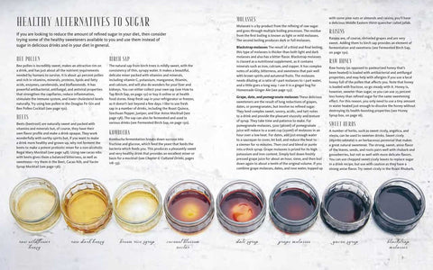 Wild Mocktails and Healthy Cocktails by Lottie Muir - image 4
