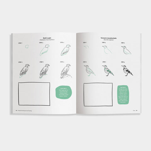 Pacific Northwest How to Draw Book (Trees, Flowers and More) - image 3