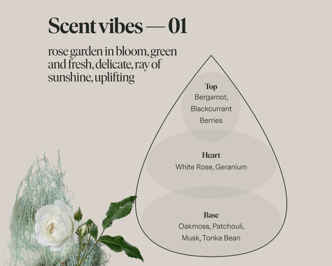 Scent No 01 - Clean Candle Refill - image 4
