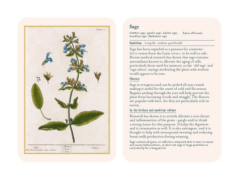 Healing Plants - image 3