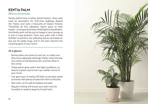 The Little Book for Plant Parents - image 5